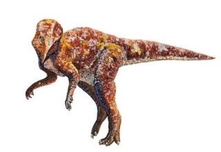 小型恐竜3.jpg
